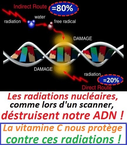 fukushima-explosion-DNA-damage-vitamine-C-protection