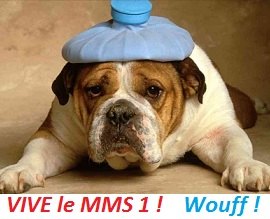 img-mms1-conjonctivite-chien-malade