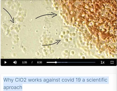 VaccinationCovid - "thérapies" géniques COVID19 ARNm/OGM (rapport Rita/Criigen) deces/infection/actualisation REMEDES - Page 5 Video-andreas-kalcker-labo-virus-02
