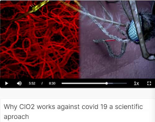 covid19 - "thérapies" géniques COVID19 ARNm/OGM (rapport Rita/Criigen) deces/infection/actualisation REMEDES - Page 5 Video-andreas-kalcker-labo-virus-04