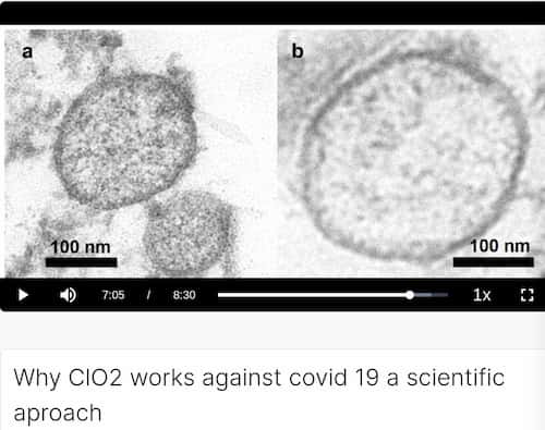 VaccinationCovid - "thérapies" géniques COVID19 ARNm/OGM (rapport Rita/Criigen) deces/infection/actualisation REMEDES - Page 5 Video-andreas-kalcker-labo-virus-05